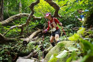 BIB: 
                            <button type="button" onclick="openModal(19407984)" class="btn btn-primary btn-sm float-right btn-popup" data-toggle="modal" data-target=".modal-high-quality">
                        <i class="fas fa-shopping-cart"></i> Add to Cart
                    </button>
                                            <button type="button" onclick="isThisMe(19407984, true)" class="btn btn-success btn-sm float-right btn-popup btn-isme hidden" data-toggle="tooltip" data-placement="bottom" title="นี่คือรูปของคุณใช่ไหม คลิกที่นี่เพื่อเอาเข้าอัลบั้ม">
                        <i class="fas fa-plus"></i> Add to album
                    </button>
                    <button type="button" onclick="isThisMe(19407984, false)" class="btn btn-warning btn-sm float-right btn-popup btn-isnotme hidden">
                        <i class="fas fa-ban"></i> Remove from album
                    </button>